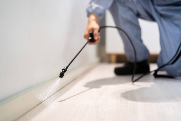 Licensed Pest Control service in Washington, WA - Show Me Pest Control