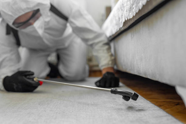 Professional Pest Control technician working in Washington, WA