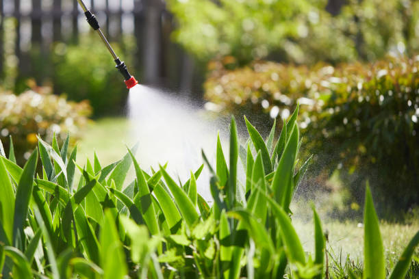 24/7 Emergency Pest Control experts in Washington, WA