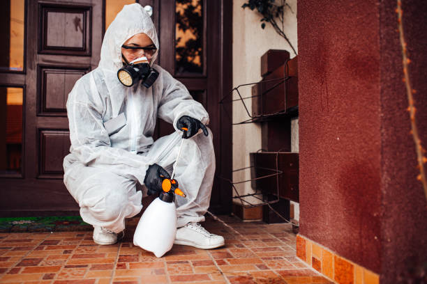 Reliable Pest Control contractor in Washington, WA by Show Me Pest Control
